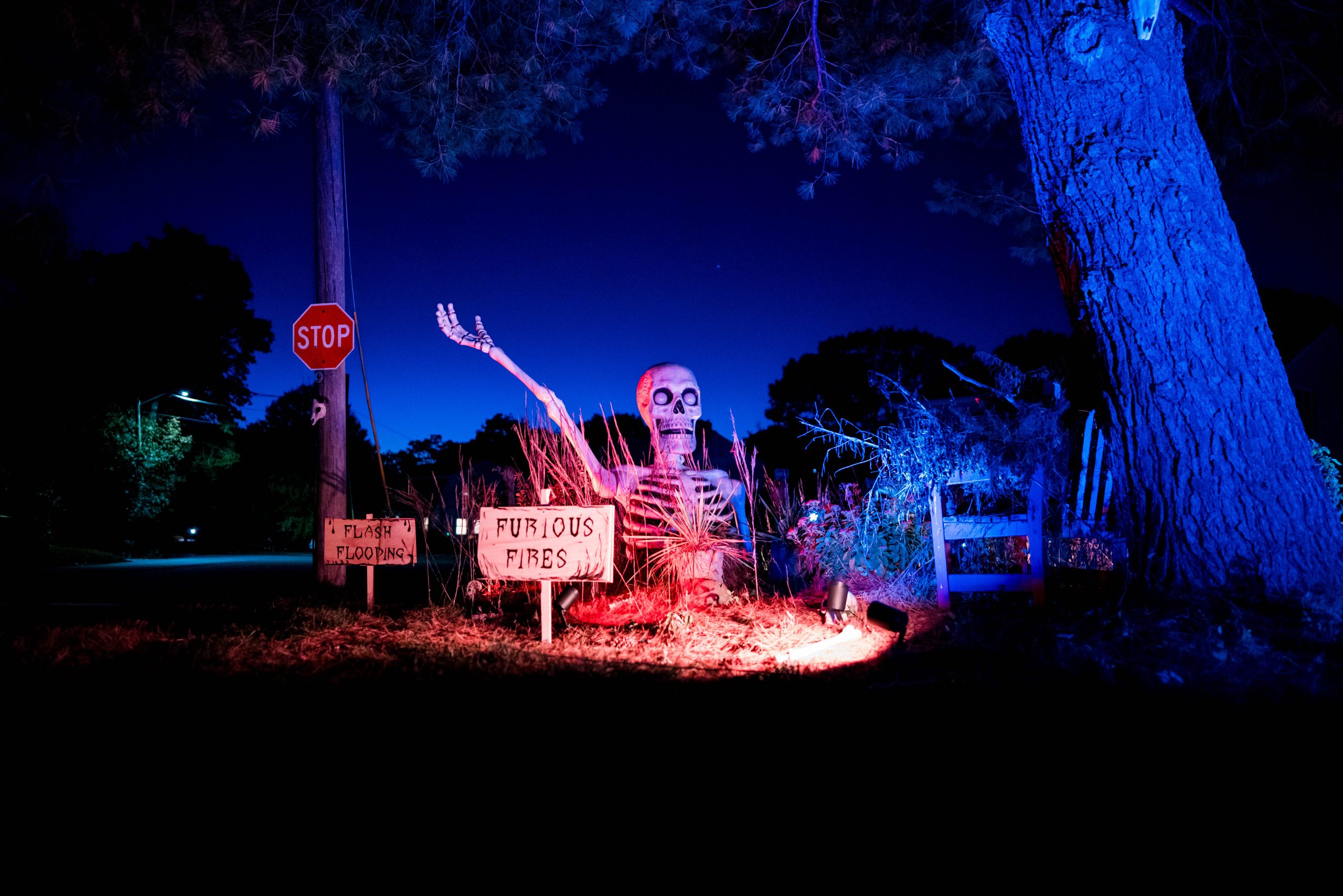 Act I of the installation: a giant skeleton half-buried among dead branches at the corner of the lot.