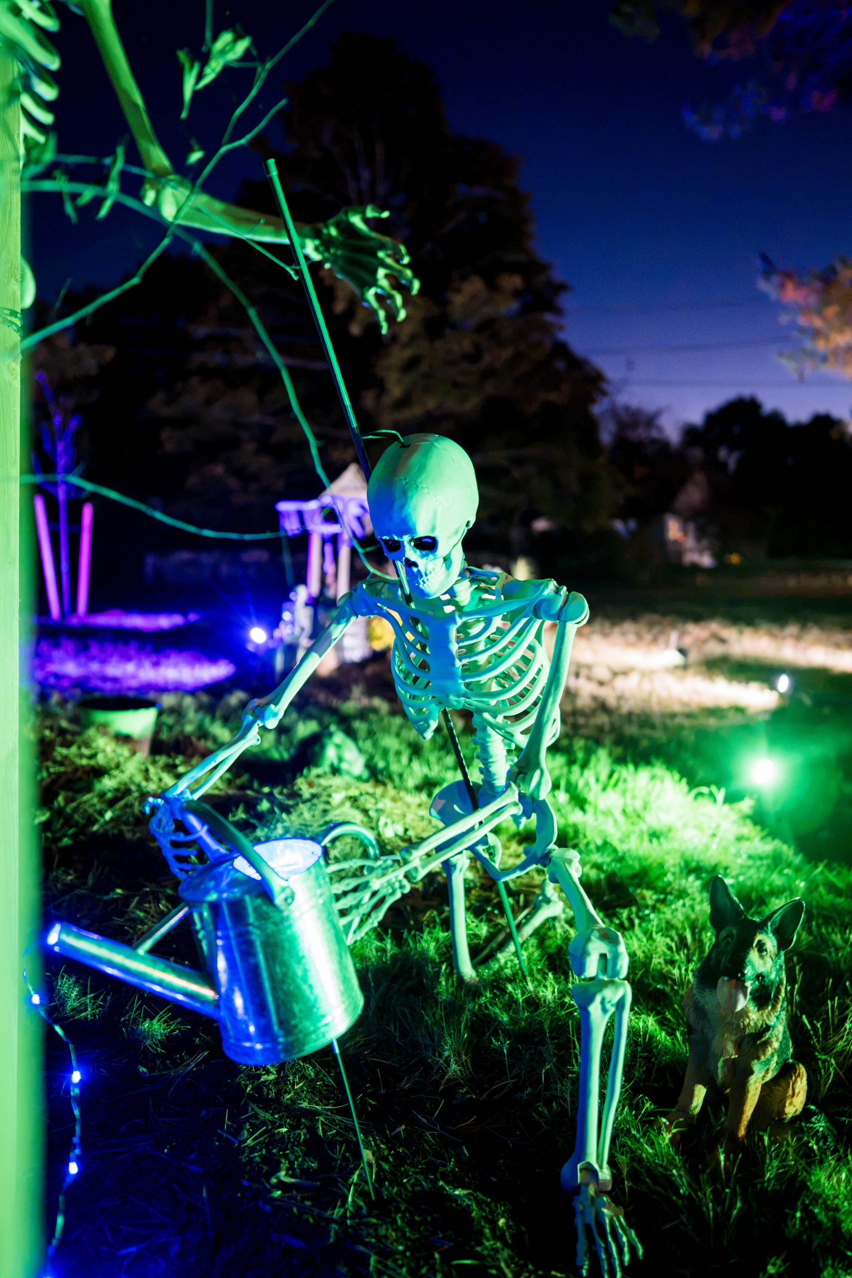 Act III of the installation: a skeleton watering a young plant.